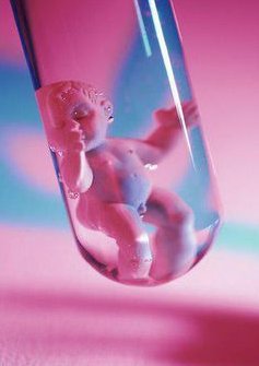 试管婴儿胚胎移植越多着床率越高吗？