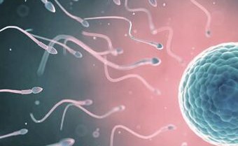 2026阿克苏市最新男性陪产假有多少天？试管婴儿可以增加产假吗？