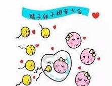 在上海的冷冻精子做试管怎么样？成功率有保障吗？