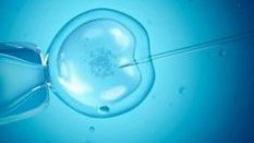 杭州地区有哪些私立的机构可以做试管技术？2026杭州三代试管婴儿费用明细表