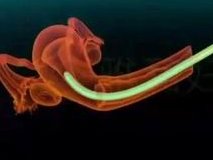 国内试管婴儿医院排名出炉：5家医院介绍供参考