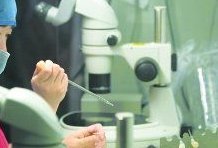 试管婴儿取的卵退化怎么办？